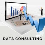data consulting