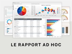 Ad hoc report ou rapport ad hoc