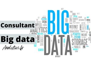 consultant big data